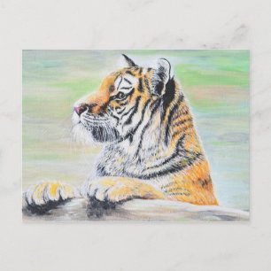 Postal Curiosa pintura de tigres