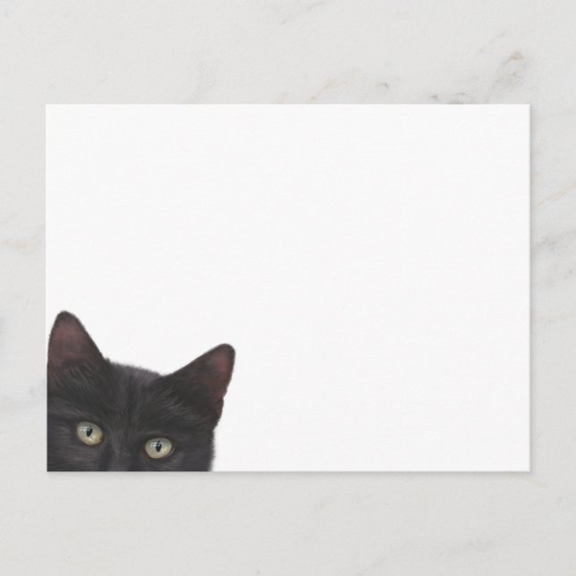 Postal Curiosa pintura digital Kitty (Anverso)