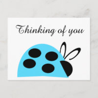 Curiosa Turquesa Ladybug Pensando En Ti