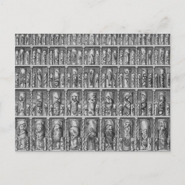 Postal Curiosidad (Anverso)