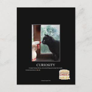 Postal Curiosidad