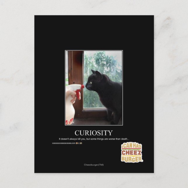 Postal Curiosidad (Anverso)