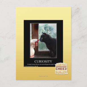 Postal Curiosidad
