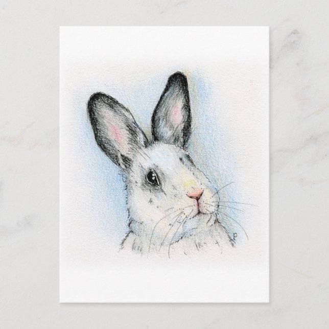 Postal Curioso (Anverso)