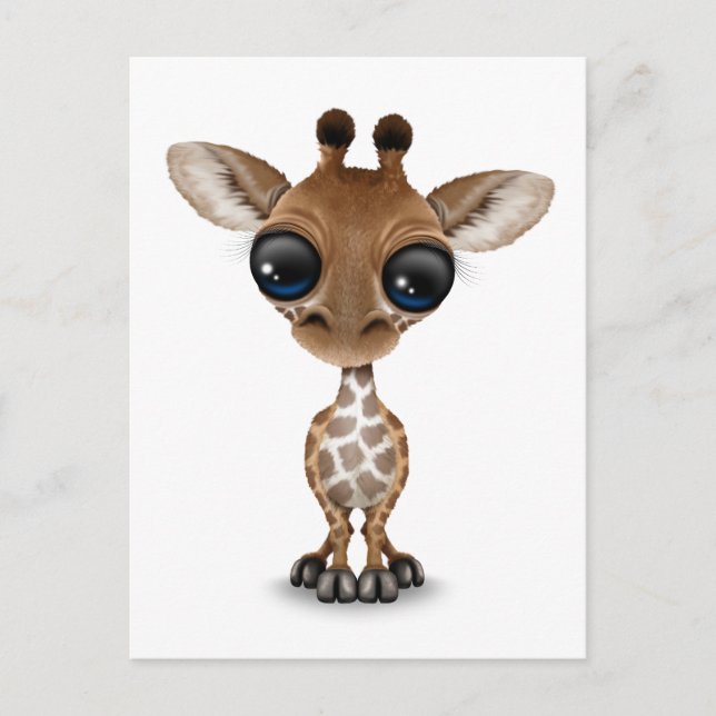 Postal Curioso bebé giraffe (Anverso)
