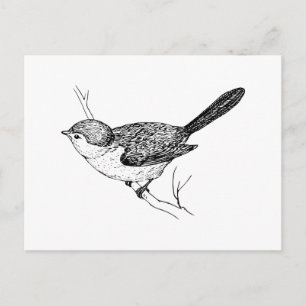 Postal Curioso boceto de pájaro Bushtit