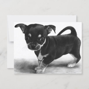Postal Curioso Chihuahua Cuppy - arte pintado a mano