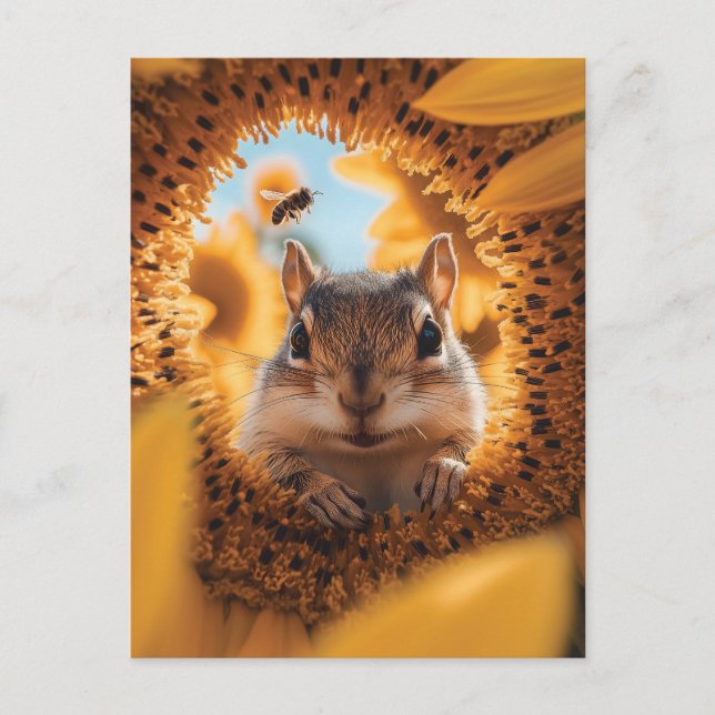 Postal Curioso Chipmunk Peeando a través del girasol comi (Anverso)