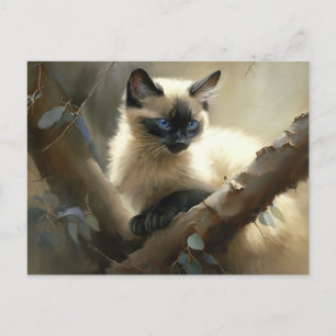 Postal Curioso escalador Siamese Kitten