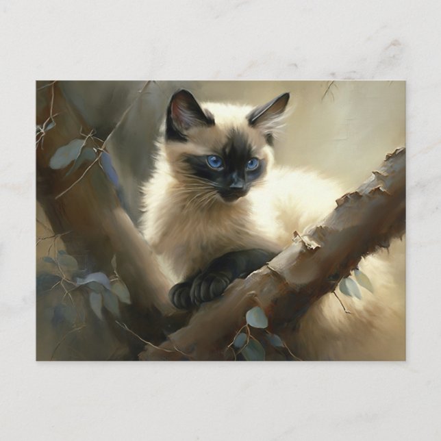 Postal Curioso escalador Siamese Kitten (Anverso)
