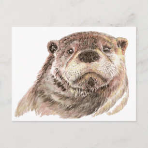 Postal Curioso Otter, una naturaleza animal rica