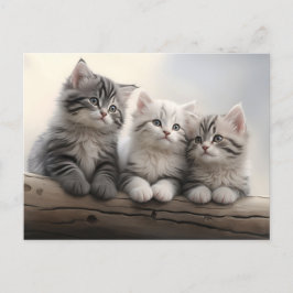 Postal Curiosos Pequeños - Gatitos De Tabby Cuidados