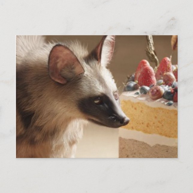 Postal Curious Hyena & Cake Postcard (Anverso)