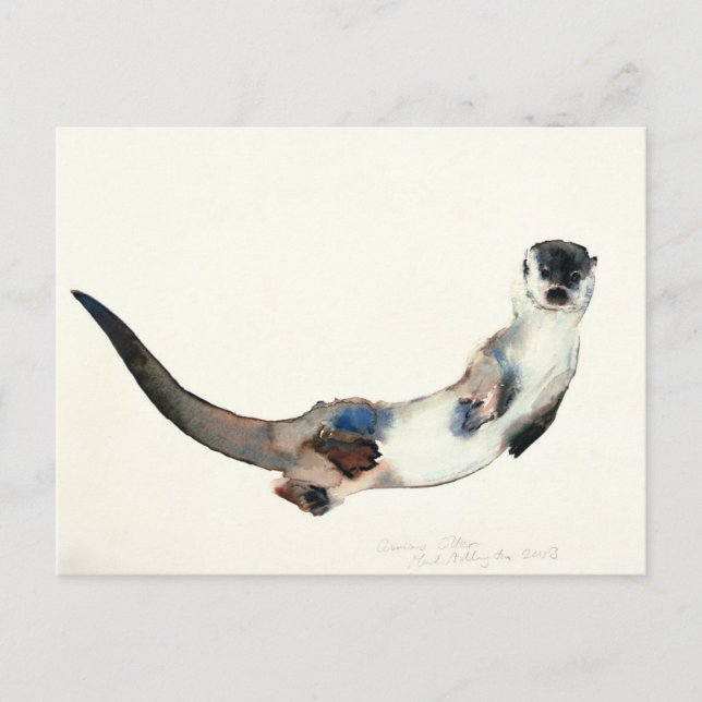 Postal Curious Otter 2003 (Anverso)