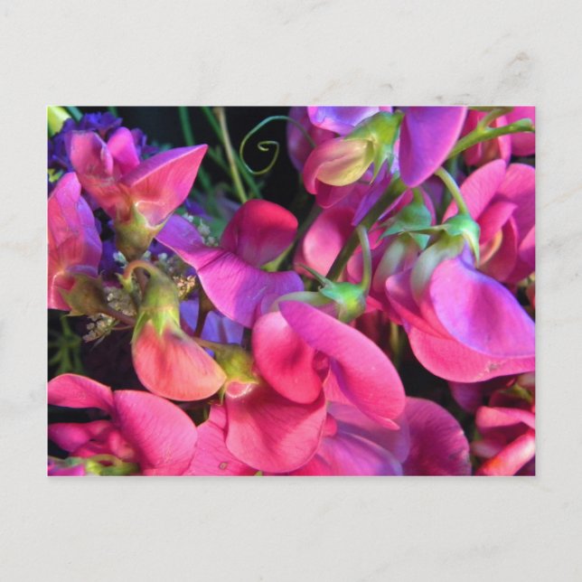 Postal Curly que (Anverso)