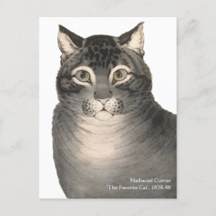Postal Currier e Ives Cat Cute Bella Artes victoriano