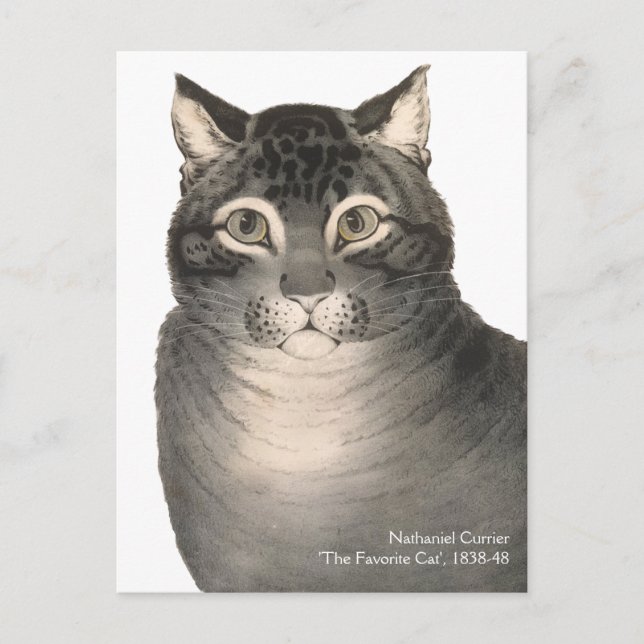 Postal Currier e Ives Cat Cute Bella Artes victoriano (Anverso)