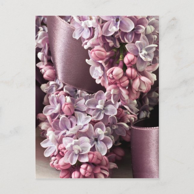 Postal Curvas Lilac Y Cinta (Anverso)