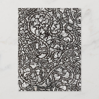 Postal Curvy Twisty Cartoon Weird Faces Design