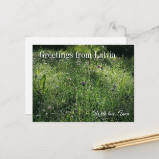 Postal Custom Greetings from Latvia Wildflower Photograph