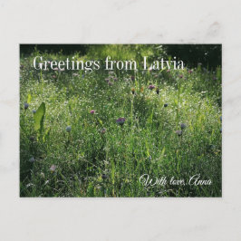 Postal Custom Greetings from Latvia Wildflower Photograph