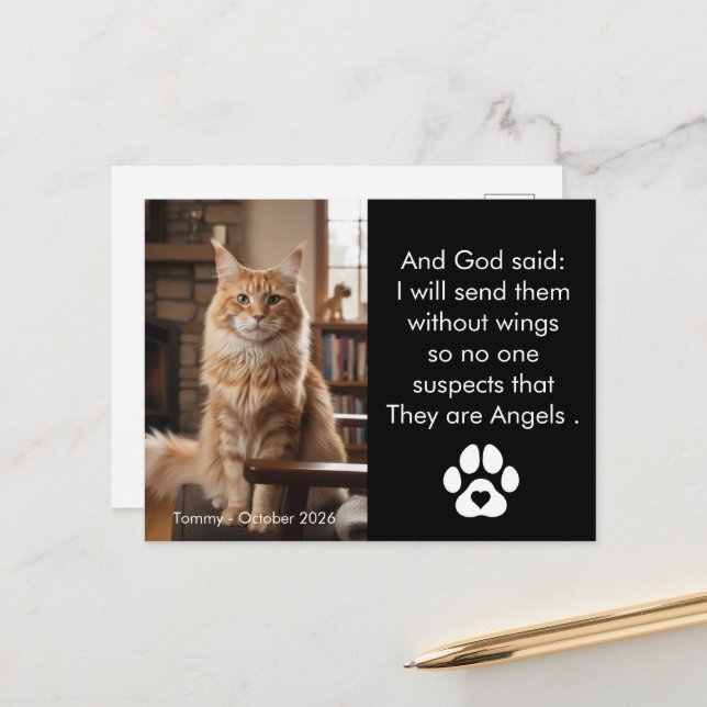 Postal Custom Pet Memorial Photo Postcard  (Anverso/Reverso In Situ)