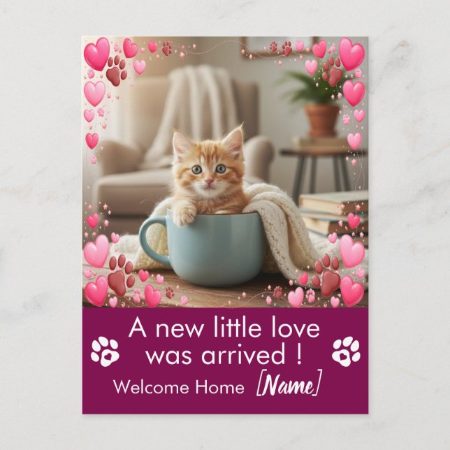 Postal Custom Photo New Kitten Announcement Postcard  (Anverso)