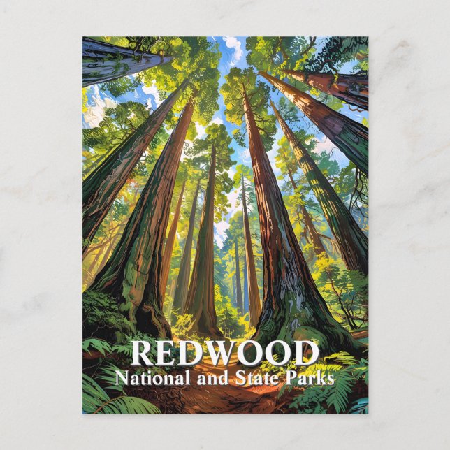 Postal Custom Redwood National Park Trees Painting Travel (Anverso)
