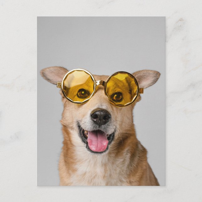 Postal cute and funny dog with glasses  (Anverso)