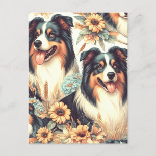 Postal Cute Australian Shepherd Vintage Painting