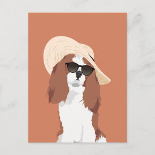 Postal Cute Beach Vacation Cavalier King Charles Spaniel