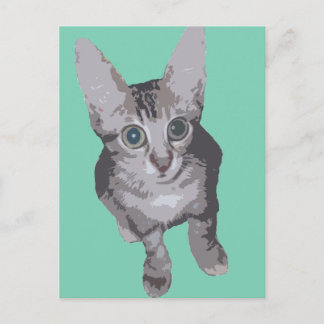Postal Cute Big Eyes Kitten