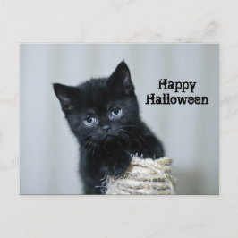 Postal Cute Black Kitten Twine Photo Halloween
