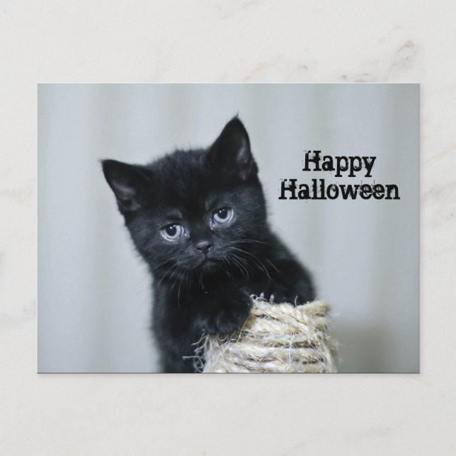 Postal Cute Black Kitten Twine Photo Halloween (Anverso)