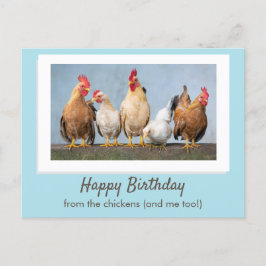 Postal Cute Blue Happy Birthday from the Chickens