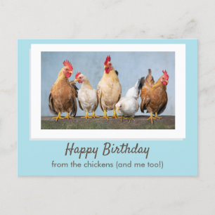 Postal Cute Blue Happy Birthday from the Chickens