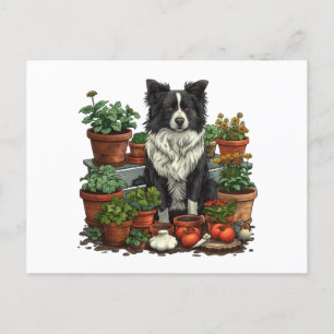 Postal Cute Border Collie Gardening