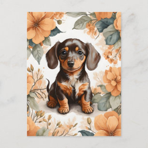 Postal Cute Brown Dachshund Puppy Peach Floral