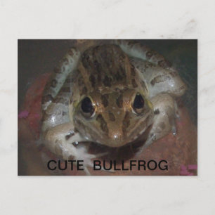 POSTAL CUTE BULLFROG