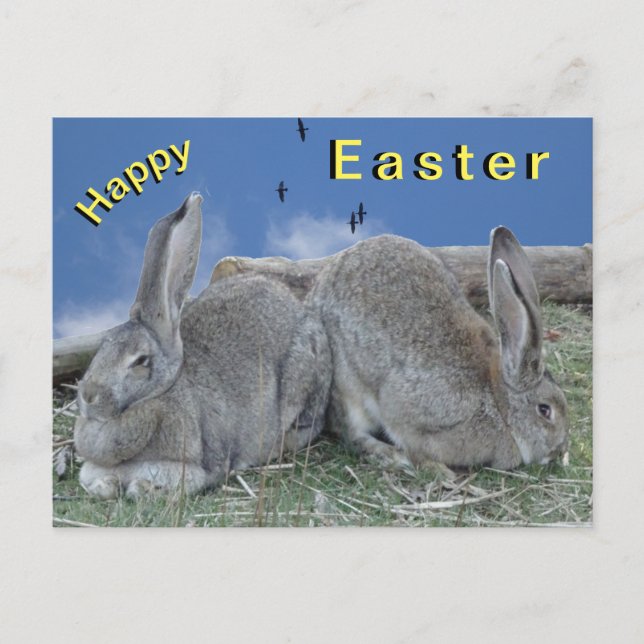 Postal Cute Bunnies Happy Easter Postcard (Anverso)