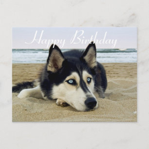 Postal Cute cachorro Perro Lover Siberian Husky Cumpleaño