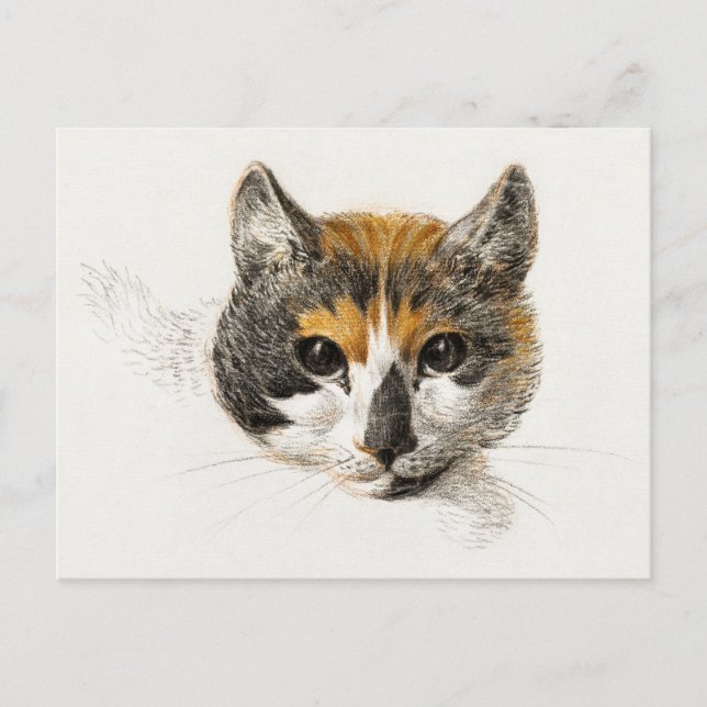 Postal Cute Calico Cat (Anverso)