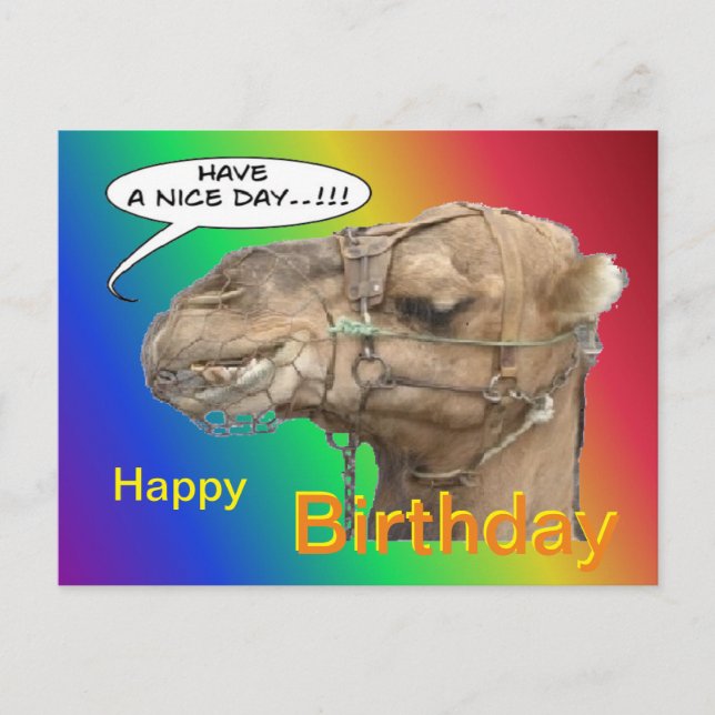 Postal Cute camello Rainbow Happy Birday Postcard (Anverso)