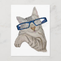 Cute Cat En Espectáculos Destituidos A Mano