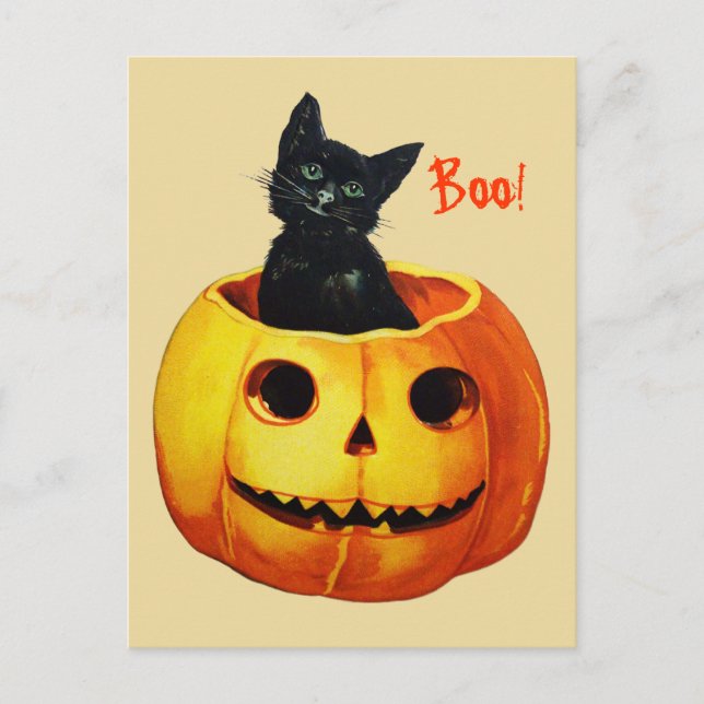 Postal Cute Cat in Pumpkin Vintage Halloween Postcard (Anverso)