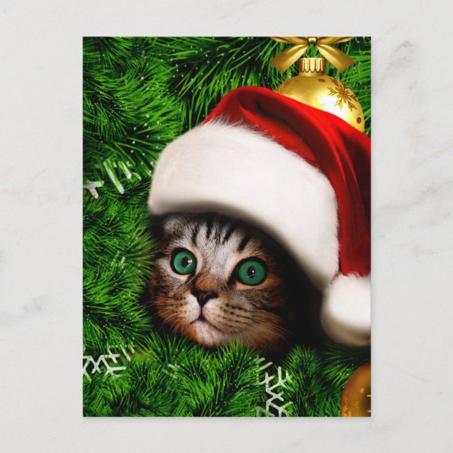 Postal Cute Cat on Christmas tree (Anverso)