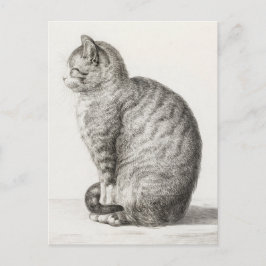 Postal Cute Cat Sketch Jean-Bernard Duvivier