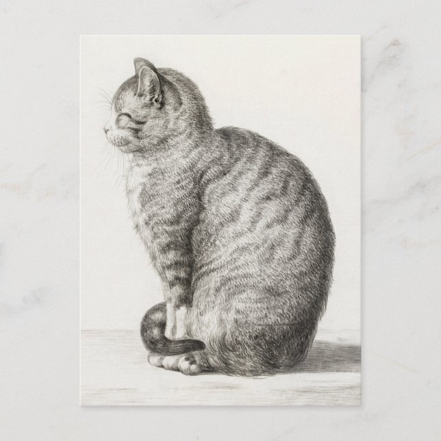 Postal Cute Cat Sketch Jean-Bernard Duvivier (Anverso)