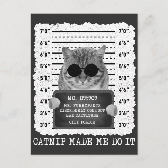 Postal Cute Catnip Me Hizo Hacerlo Gato Mugshot (Anverso)