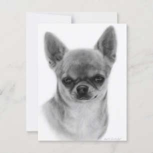 Postal Cute Chihuahua Head Study Hand Pintado